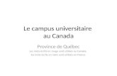 Le campus universitaire au canada