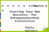 Entrepreneurship Techniques | Twyla Garrett