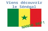 Diaporama  viens découvrir le Sénégal