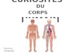 10 curiosites-du-corps-humain1-1