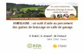 Colloque lille2017 sequence7a4-ambigaine_robin-amand_fr