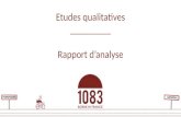 Rapport d'analyse, Etudes Qualitatives