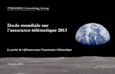 Assurance telematique 2013 presentation FR