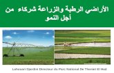 Zones humides et agriculture: opportunités pour un développement durable