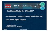 IBM Bluemix Nice Meetup #4-20170302 6 Meetup @INRIA - BlockChain