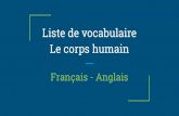 Liste de vocabulaire sur le corps humain - Français / Anglais