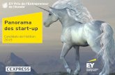 Panorama des candidats start-up de l'édition 2015 du Prix de l'Entrepreneur de l'Année