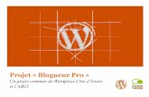 Projet blogueurs Pro