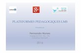 LMS and Motivation in Eductation (FR version) - FERNANDO NUNES