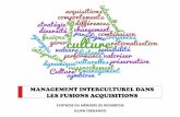 Management interculturel dans les fusions acquisitions