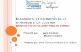 Diagnostic et définition de la stratégie d'un cluster ;Etude de cas du cluster IMEE de Sousse
