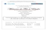 Mémoire de fin d'étude " Caractérisation et classification géomécanique du massif rocheux d’Aokas Bejaia "