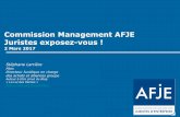 Commission Management AFJE  Stéphane Larrière-020307