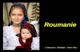 La campagne roumaine