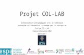 Projet recherche collaborative "COL-LAB"