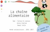 Chaine alimentaire