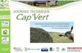 Les aides de la région Poitou-Charentes à la filière caprine