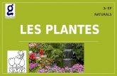 NAUTRALS : Les plantes