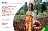 Appui strategique pour le development d'une agriculture intelligente face au climat au Niger