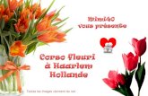 Fleurs en Hollande