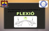 Flexion (1)