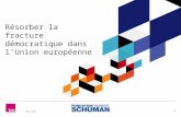 Crise de la légitimité démocratique en Europe - Points de vue des citoyens à partir d'enquêtes d'opinion dans les pays de l'UE en 2014