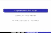 Programmation Shell Script