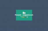 Soutenance de stage - Projet Coquelicot