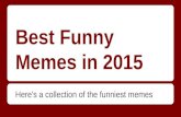 Best funny memes 2015