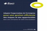 Publication IFACI - « Adapter l’organisation de l’entreprise pour une gestion efficiente des risques et des opportunités dans une entreprise de taille intermédiaire »