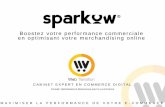 Webinar Web Transition spécial Sparkow