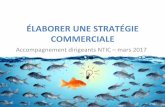 Politique Commerciale - Accompagnement des dirigeants NTIC - CCI Mayotte mars 2017