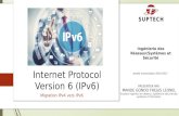 Internet protocol version 6 (i pv6) migration IPv4/IPv6