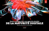 Digital marketing 2015_fr