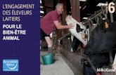 L'engagement des éleveurs laitiers pour le bien-être animal