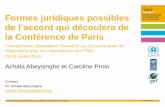 Formes juridiques possibles de l’accord qui découlera de la conférence de Paris