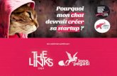 Pourquoi mon chat devrait créer sa startup ? The Links & Inno Pegasi