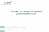 Ethiopie Space 2015 : 1er cheptel d'afrique, en pleine transformation