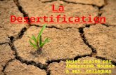 La desertification by Abderazzak Moumen
