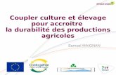 Coupler culture et élevage pour accroitre la durabilité des productions agricoles