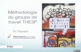 Méthodologie du groupe de travail The3P | 20/11 10.45 - 11 h