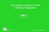 Life 2 des_photos_uniques_et_des_cou
