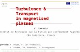 CEA-EDF-INRIA school "Numerical Models for Controlled Fusion", Nice (8-12 Sept. 2008)Y. Sarazin 1 Turbulence & Transport in magnetised plasmas Y. Sarazin.