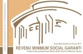 Revenu minimum social garanti