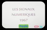 Signaux Numériques 1967