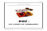 DOStido94.free.fr/Lyc%E9e/Cours/DOS/Dos2009e.pdf · Chapitre 1 : Présentation du système d’exploitation Page : 3 DOS (document professeur) - BTS IRIS 2009 - JL Pellard & JL Deprez