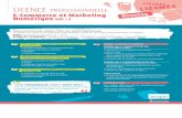 LICENCE PROFESSIONNELLE - CCI Nantes St-Nazairenantesstnazaire.cci.fr/.../files/1.in/offres/fichier/LPeCommerce.pdf · Nouvelles tendances et commerce ubiquitaire ... 2 semaines en