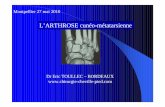 E Toullec arthrose du Lisfranc · PDF fileArthrose cunéo-métatarsienne - Montpellier mai 2010 Anatomie Stabilisation CM1 par équilibre tibial antérieur et long fibulaire CM2CM3