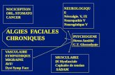 NEUROLOGIQU E Neuropathie V Neurogénique V …douleurs.org/wp-content/uploads/2015/04/alfaciales.pdf · Neuropathie V Neurogénique V VASCULAIRE SYMPATHIQUE MIGRAINE AVF/ Dyst Symp