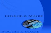 Bougie & magie - intranet.dgdiffusion.comintranet.dgdiffusion.com/doc/documents/259/Export_bougie_2013.pdf · La Wicca pour débutants - Fondements philosophiques et pratiques ...
